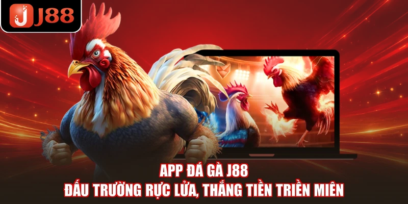 App Đá Gà J88 - Đấu Trường Rực Lửa, Thắng Tiền Triền Miên