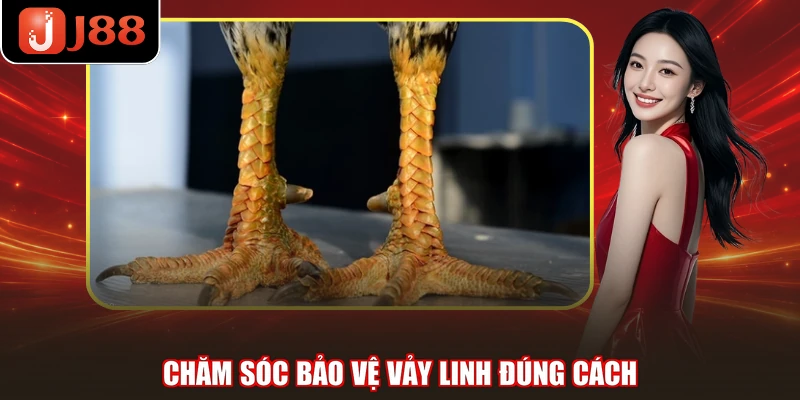 Chăm sóc bảo vệ vảy linh đúng cách