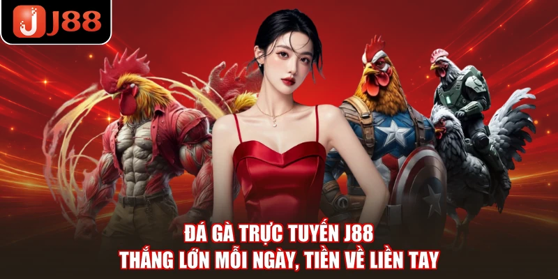Đá Gà Trực Tuyến J88 - Thắng Lớn Mỗi Ngày, Tiền Về Liền Tay