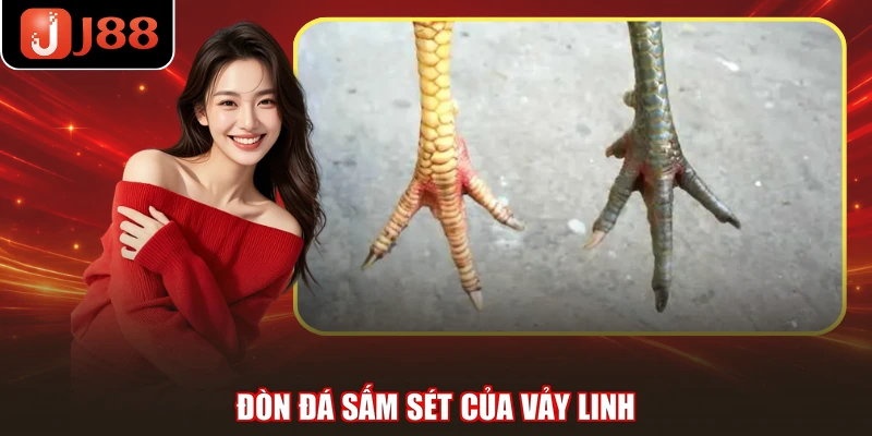 Đòn đá sấm sét của vảy linh