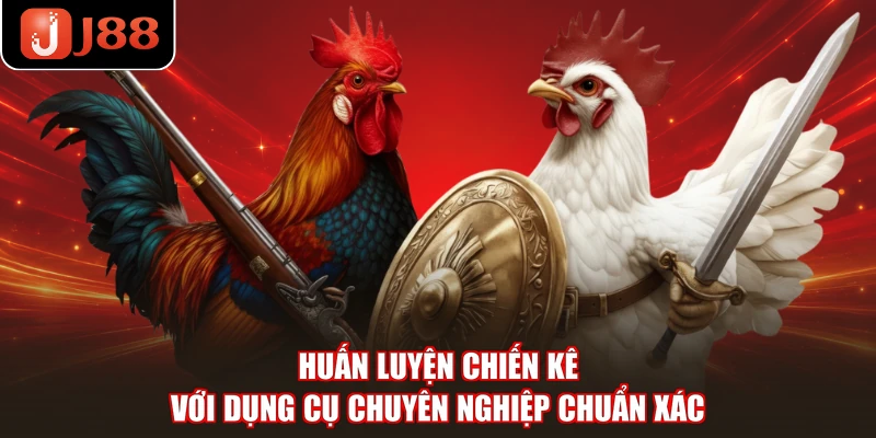Huấn luyện chiến kê với dụng cụ chuyên nghiệp chuẩn xác