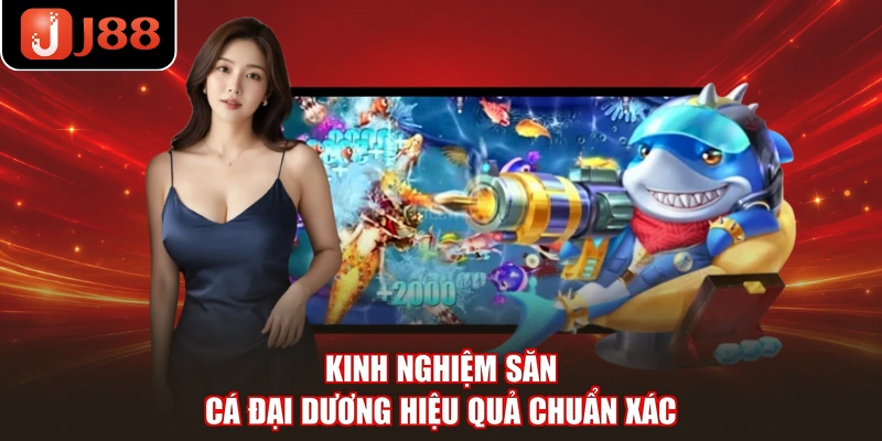 Kinh nghiệm săn cá đại dương hiệu quả chuẩn xác