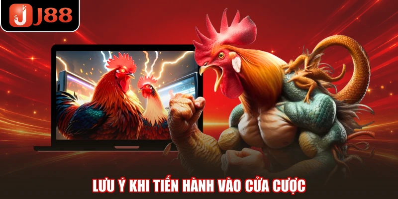 Lưu ý khi tiến hành vào cửa cược