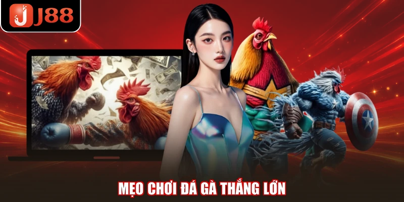 Mẹo chơi đá gà thắng lớn