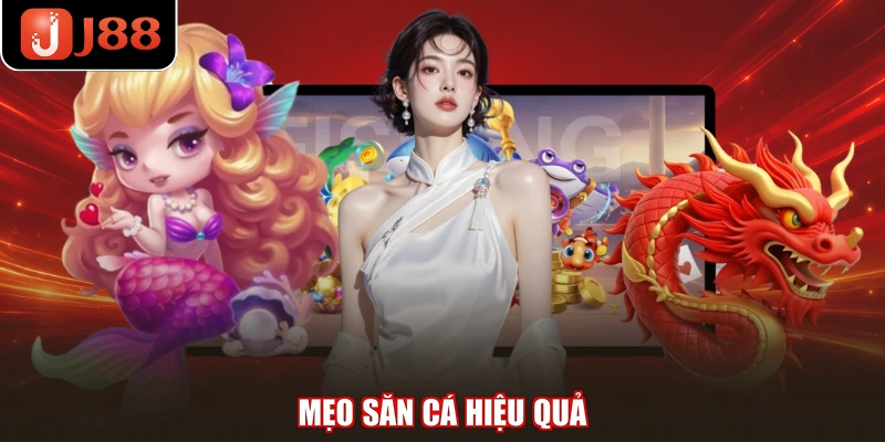 Mẹo săn cá hiệu quả