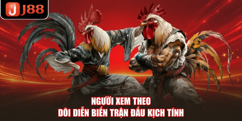 Người xem theo dõi diễn biến trận đấu kịch tính