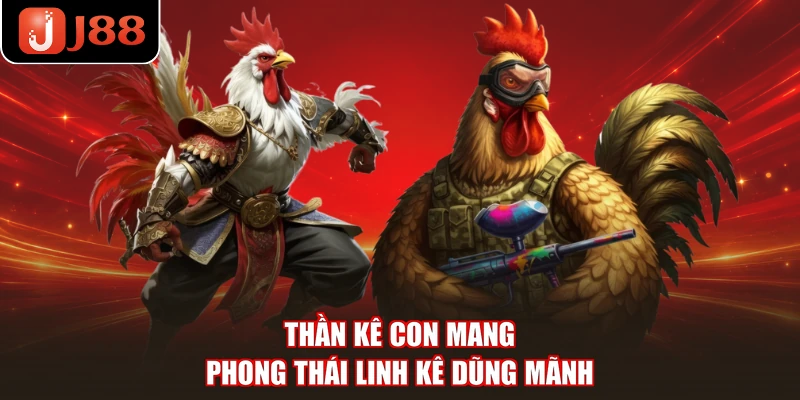 Thần kê con mang phong thái linh kê dũng mãnh