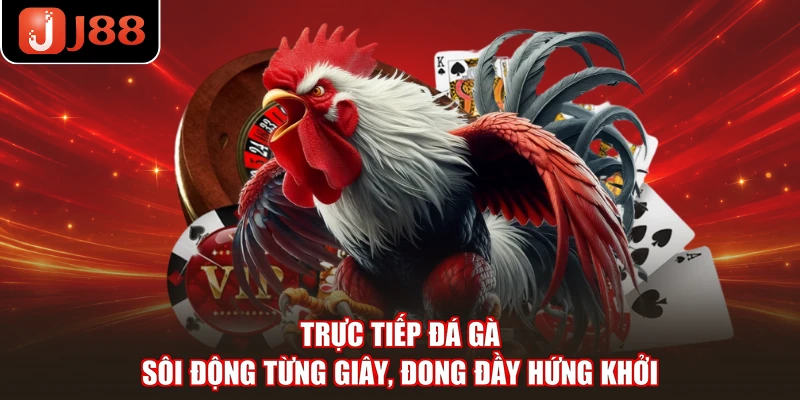 Trực Tiếp Đá Gà - Sôi Động Từng Giây, Đong Đầy Hứng Khởi