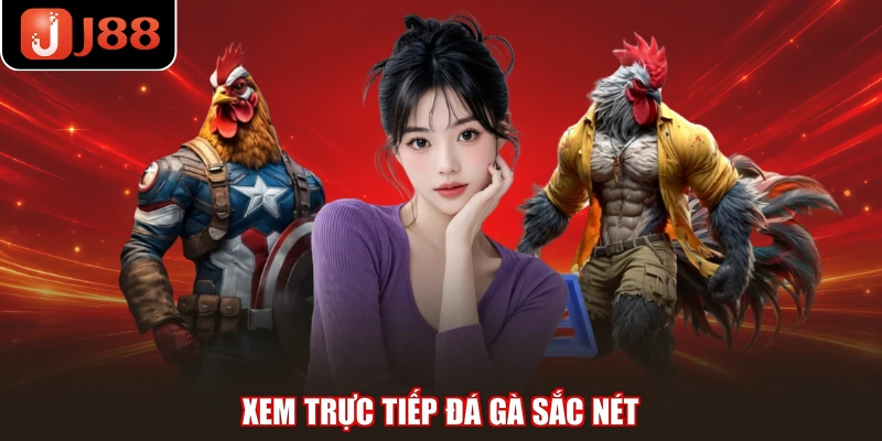 Xem trực tiếp đá gà sắc nét